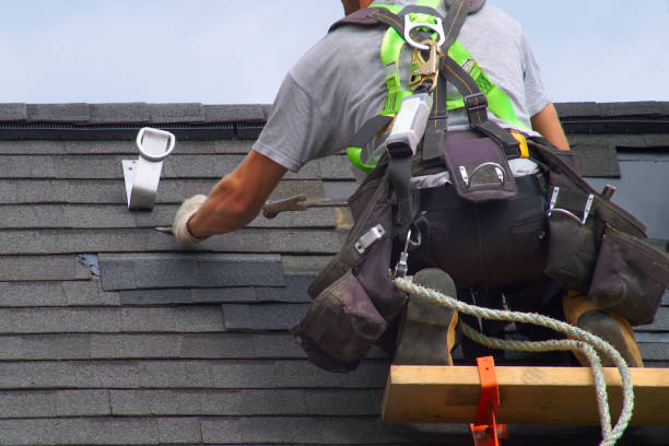 Best Residential Vinyl Siding Installation  in Bnchard, LA