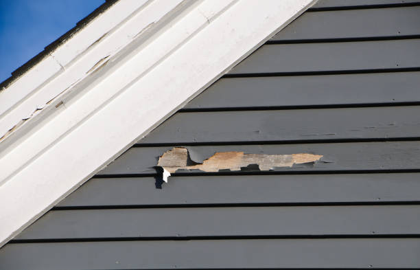 Best Custom Siding Design  in Bnchard, LA
