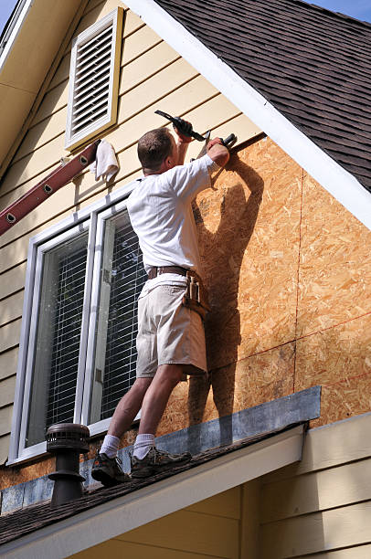Best Siding Painting and Refinishing  in Bnchard, LA